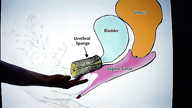 Makes my pussy wet, squirt teaching, squirting anal orgasm screaming, dripping while fucking, pussy ejaculation compilation