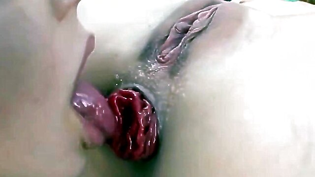Anal culo, cumshot prolapse anal, gangbang prolapse, anal prolapse liking, porno anal